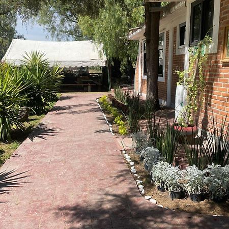 Telpochcalli Hotel & Temazcal San Juan Teotihuacan Exterior photo