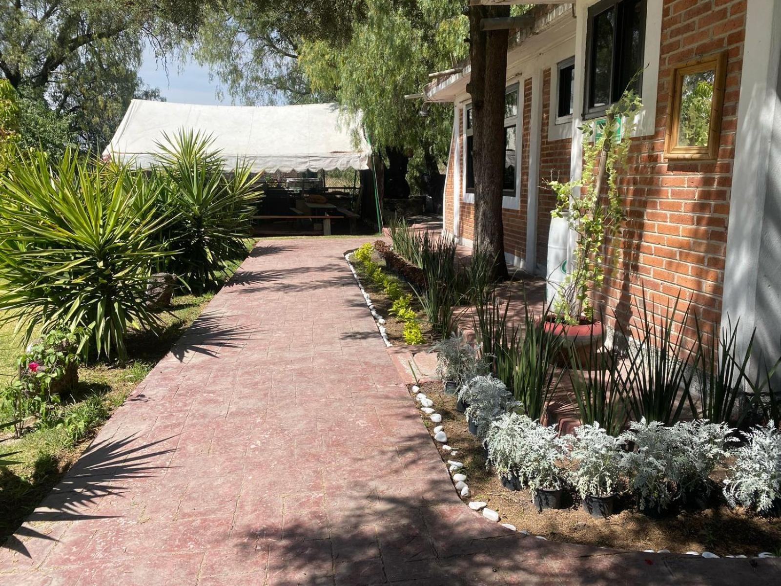 Telpochcalli Hotel & Temazcal San Juan Teotihuacan Exterior photo